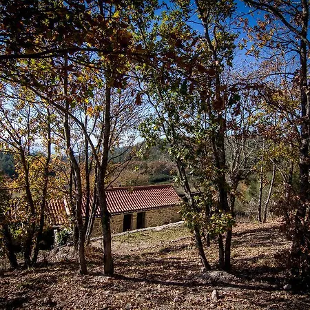 Casas Dos Avos Guest House Vale de Cambra Room photo