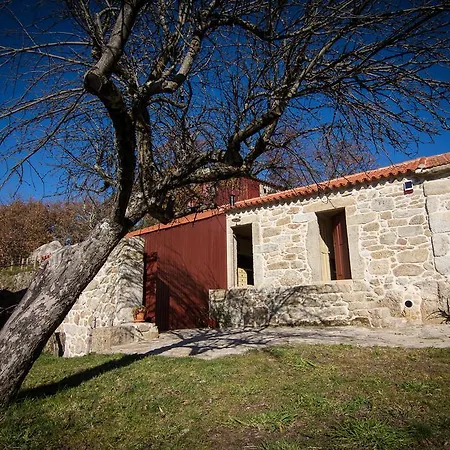 Casas Dos Avos Guest House Vale de Cambra Room photo